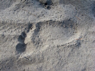 footprint of bare feet on gray sand, raindrops on sand