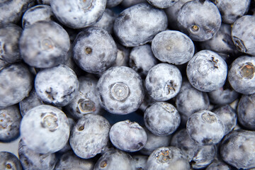 Fresh blueberry as food background