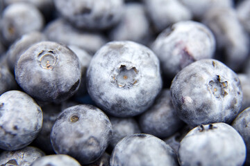 Fresh blueberry as food background