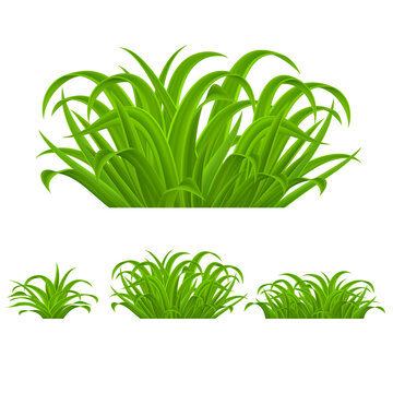 Green grass Elements for Spring or Nature Design. Illustration on White. Grass with Refractions, Natural Border for Decoration in Your Works
