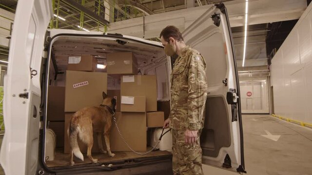 Medium long of male Caucasian security specialist wearing camo outfit and face mask, holding service dog on leash, animal searching packages in delivery van