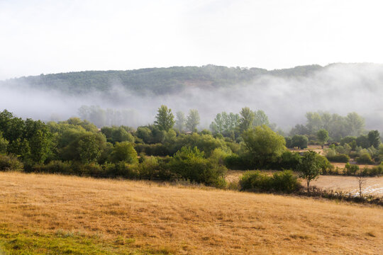 Niebla baja  en bello paisaje de prados con &aacute;rboles y setos entre el verano y el oto&ntilde;o