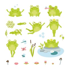 Cute happy toad or frog character flat vector illustrations set. Funny drawings of eggs, tadpole and adult green amphibian in crown, lotus, insects isolated on white background. Nature, fauna concept