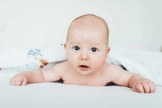 Cute 3 months old baby photo shooting.