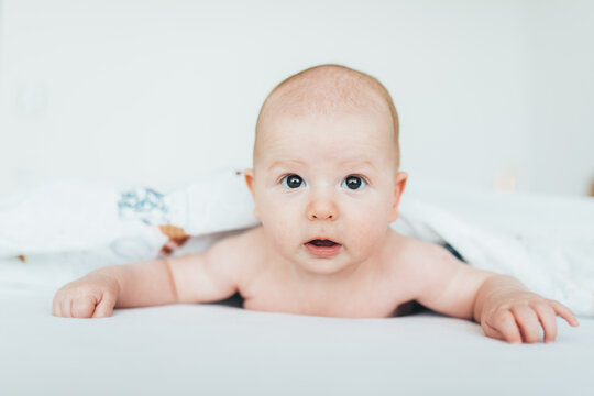 Cute 3 months old baby photo shooting.