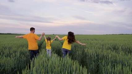 Happy family run through green field with wheat, childhood dream, wheat plantation for production of healthy food bread products, agricultural business, agriculture, mother father and little kid