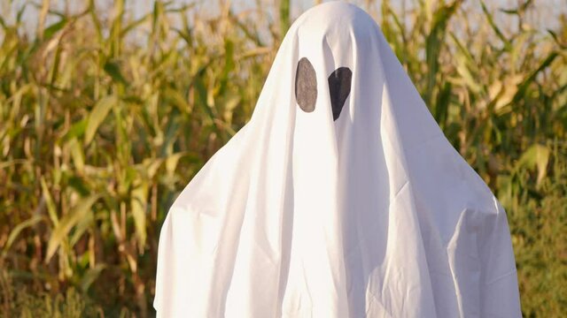 Child standing in ghost costume on corn field at day. Halloween party celebration 4k video. 
