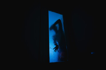 A blurred silhouette in the dark behind the glass.