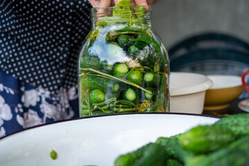hand-made pickled cucumbers in a jar. Ręcznie robione ogórki kiszone w słoiku. - obrazy, fototapety, plakaty