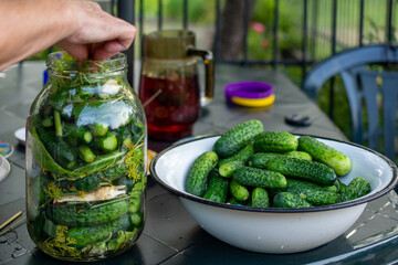 hand-made pickled cucumbers in a jar. Ręcznie robione ogórki kiszone w słoiku. - obrazy, fototapety, plakaty