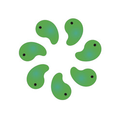 緑の勾玉のサークル 1