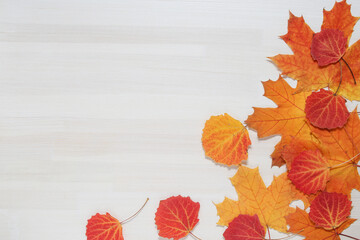 autumn leaves on white wooden background