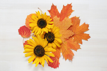 autumn leaves and sunflower on white wooden background