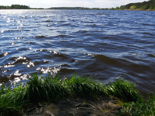  dark waters of rivers in Belarus