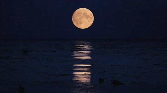 Moonlight At Sea. Nighttime Ocean Scene With Full Moon And Stars In The Sky. Real Time 4k. Location: Sweden, Scandinavia. 