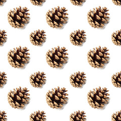 Dry pine cone seamless pattern isolated on white background. Symbol of Christmas and New Year. Autumn and winter season concept. Design element