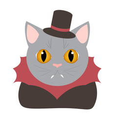 Obraz premium Happy halloween. Halloween characters. Animals in halloween costumes. Halloween party. Сat in vampire costume