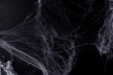 Halloween background with spider web  on the black background. Happy Halloween concept.