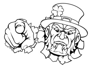 Leprechaun Mascot Cartoon Character Pointing
