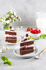 Portion of layered creamy fruit cake with in close up view. Cherry cake with chocolate. Chocolate cake. Mint decoration. Black forest cake