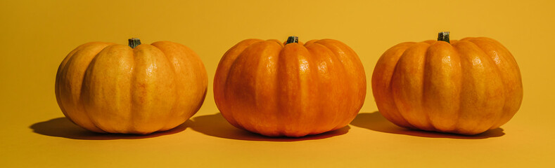 Fresh ripe pumpkin on orange background. Space for text mockup Halloween concept