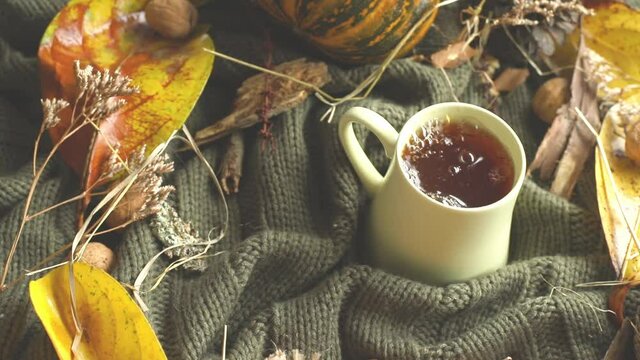 autumn background with leaves, dried grass, pumpkin, walnuts and tea mug on knitted blanket, fall mood, hello autumn concept. 