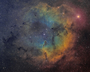 Fototapeta na wymiar Elephant's Trunk Nebula - IC 1396