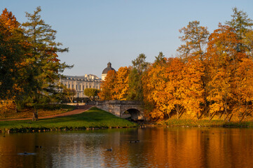 Fototapeta na wymiar autumn in the park in autumn