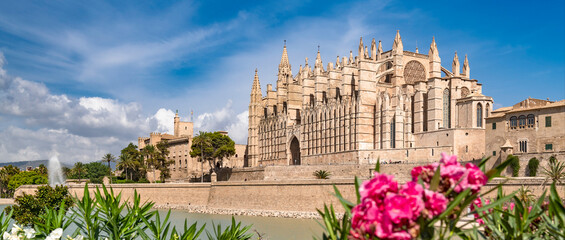La Seu Cathedral with Almudaina Palace in Palma de Mallorca - 7899