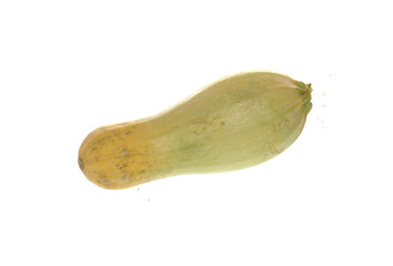 vegetable marrow isolated on white background