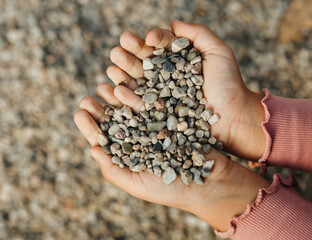 Stones in children's palms. Sea Treasures