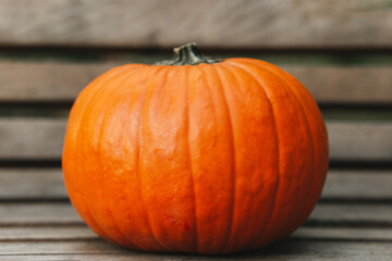 Big orange pumpkin on a bench in an autumn park. Halloween props