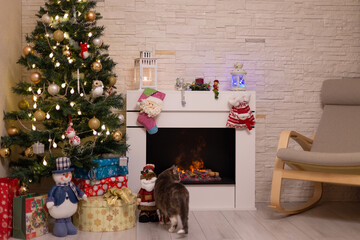 Decorated Christmas tree, gifts in boxes, a cat standing by a burning fireplace. New Year Christmas. Selective focus.