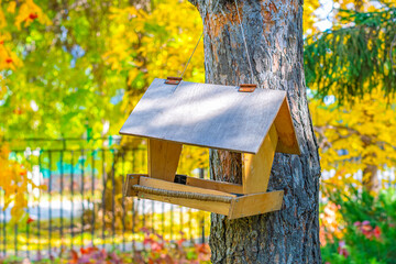 Winter wooden bird feeder on yellow-green abstract background. Caring for the world around you.