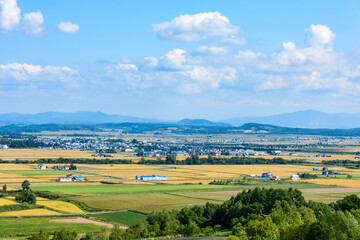 Obraz premium 萌の丘 素晴らしい道央の穀倉地帯を望む