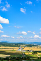 Naklejka premium 萌の丘 素晴らしい道央の穀倉地帯を望む