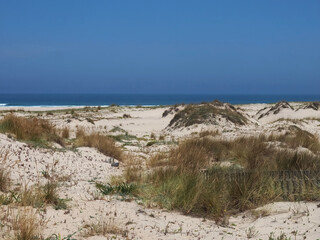 Beautiful island with wild dunes Sao Jacinto or San Antonio in Portugal