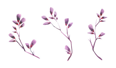 bouquet of violet lilac purple flowers arranged on white background. Minimal background concept. Dry flower floral composition isolated. Spa skin care