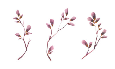 watercolor handdrawn Autumnal Branch, vintage filter