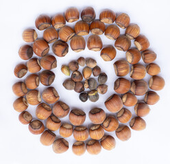 hazelnut