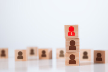 Business development team for human resource management and recruitment