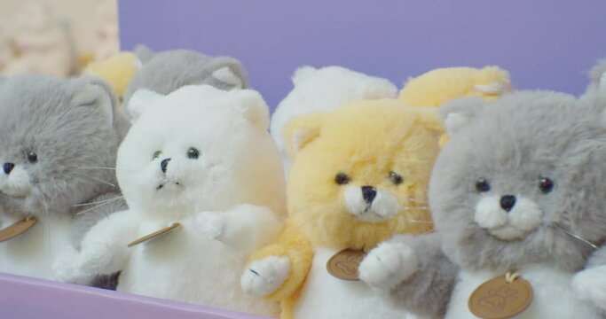 cute stuffed toys on the showcase.close-up.