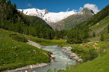 River and glacier in the Austrian Alps (Grossvenediger) in summer