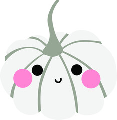 Cute autumn gray pumpkin on the white isolated background. 