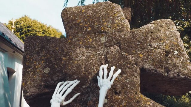 Skeleton zombie hands rising out of a graveyard, Halloween. The bones of the hands of the skeleton on the tombstone. The dead man who has come to life. Old Christian cemetery and stone moss cross