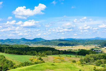 Fototapeta premium 萌の丘 素晴らしい道央の穀倉地帯を望む
