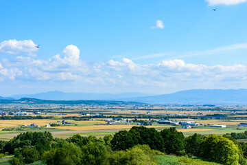 萌の丘　素晴らしい道央の穀倉地帯を望む