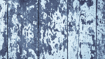 texture background of wooden with tone winter color