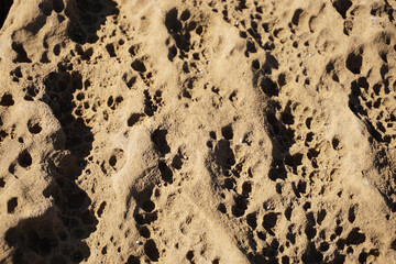 Ocean Stone Texture Natural