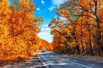 autumn asphalt road landscape and car in motion on beautiful cloudy day. Travel auto trip autumn...